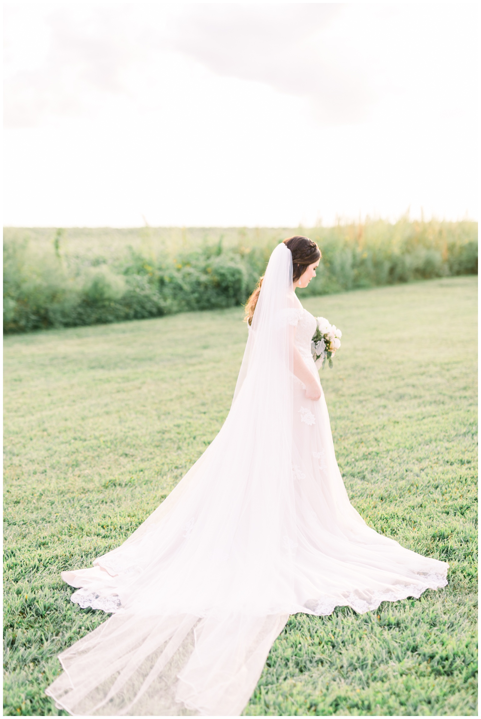bride with long veil standing in sunlight, atlanta ga wedding photographer